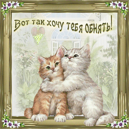 6e5a91cb360a87fad094fe1800d2d2a8.gif