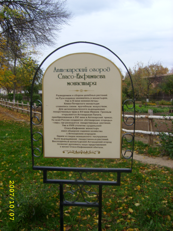 Суздаль 2013