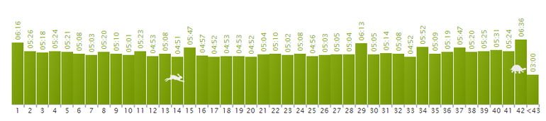 Мой муж - марафонец)