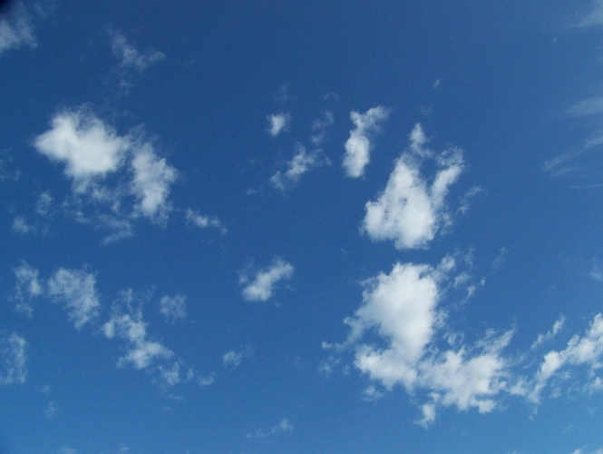 f395d1ac2b47a842f9f974d8551dd62b.jpg