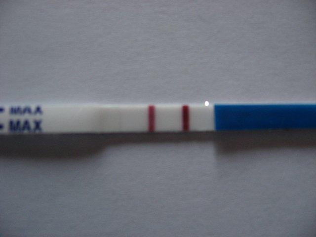 тесты тесты