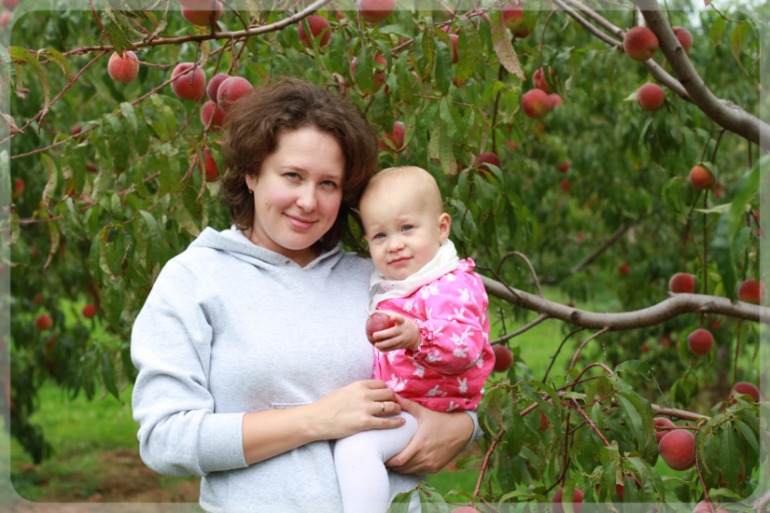 На фруктовой ферме