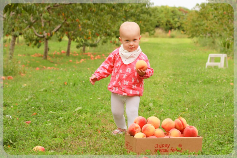 На фруктовой ферме