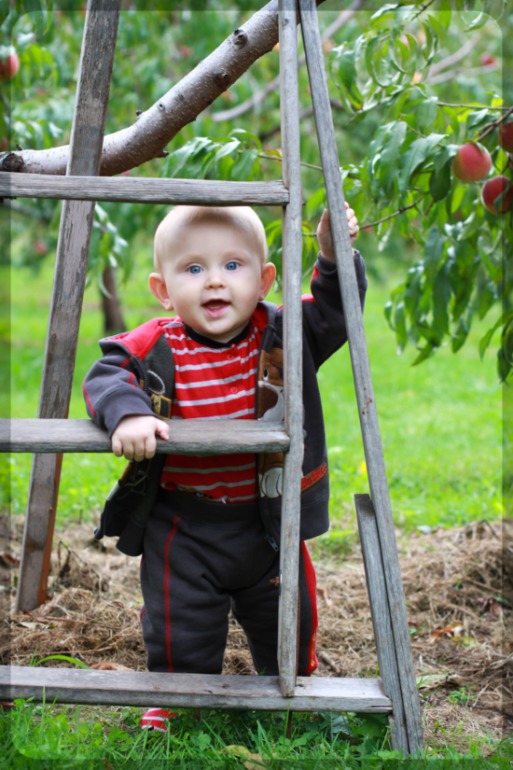 На фруктовой ферме