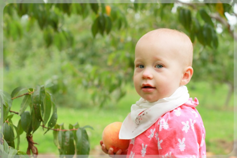 На фруктовой ферме