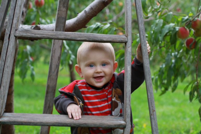 На фруктовой ферме