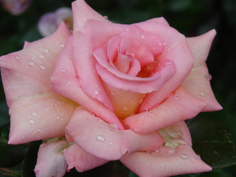 57f8bbe6500f0f3b624b5ec611e78ad7.jpg