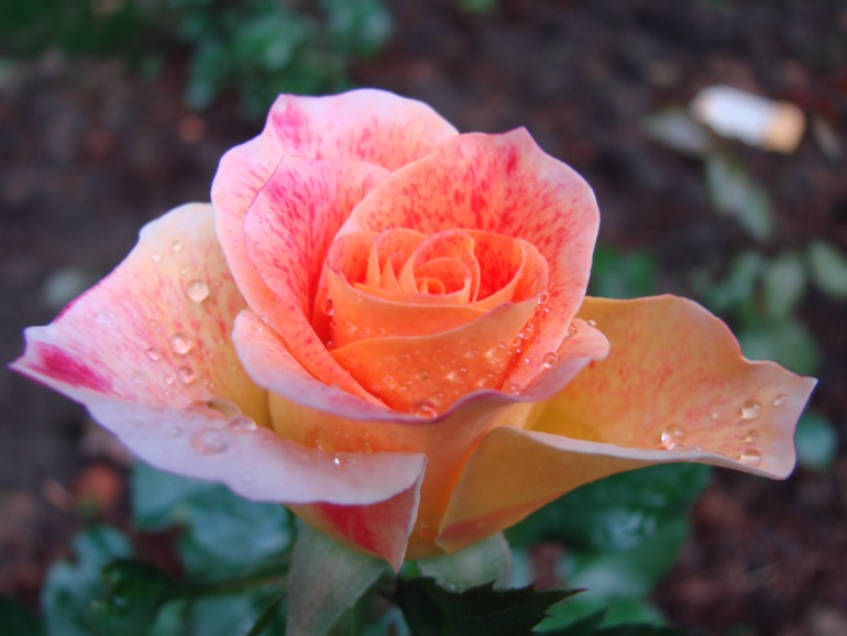 c952d14ab6f3b54e695062e2ad425c29.jpg