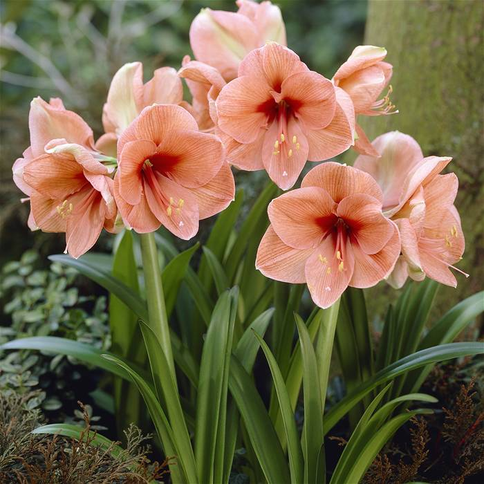 decb83a5e5e5e3e81a0eaeb3150d9d99.jpg