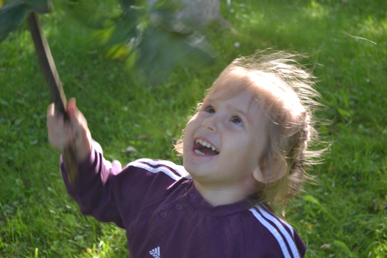 Дачные деньки. Наше лето.