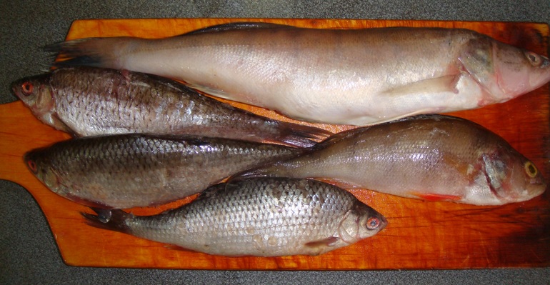 Необычные супчики