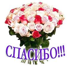c1f51095be57576199053c64fee9cc23.jpg