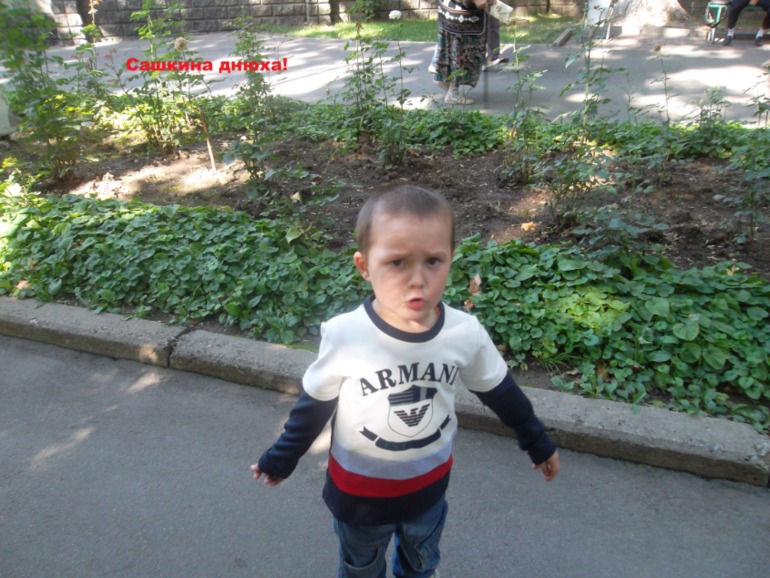 bc7d272b15d9e28c65e41aee4c321fc1.jpg
