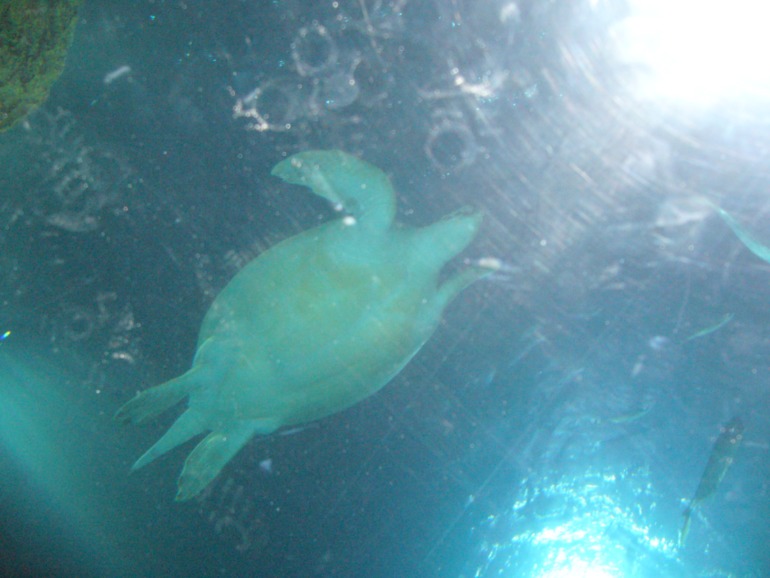 6df8fa91d29fd47fc764dbcb8bebd3cb.jpg