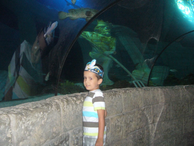 bfb445e2909650c7a42d91d03749cd58.jpg
