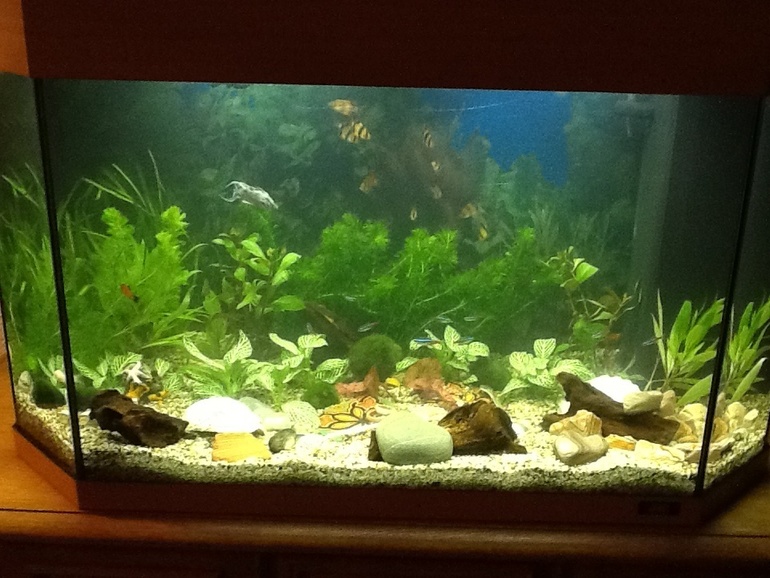 Мой теперешний антистресссссссссс ;0)