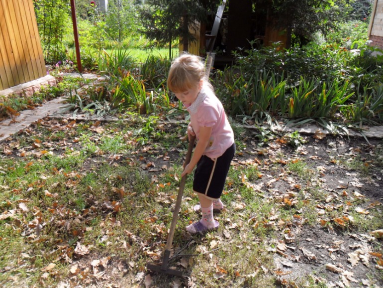 фотки в саду 7-8 сентября )