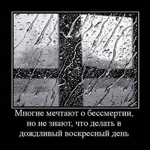 b0d790a6ebb12370c0d841bf363183c2.jpg