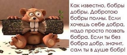 b9cff7c08e0dcc8eefe9c7b3021e42a5.jpg