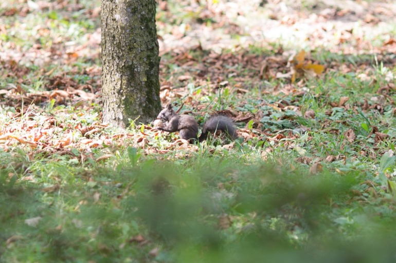 НеДревние фоты