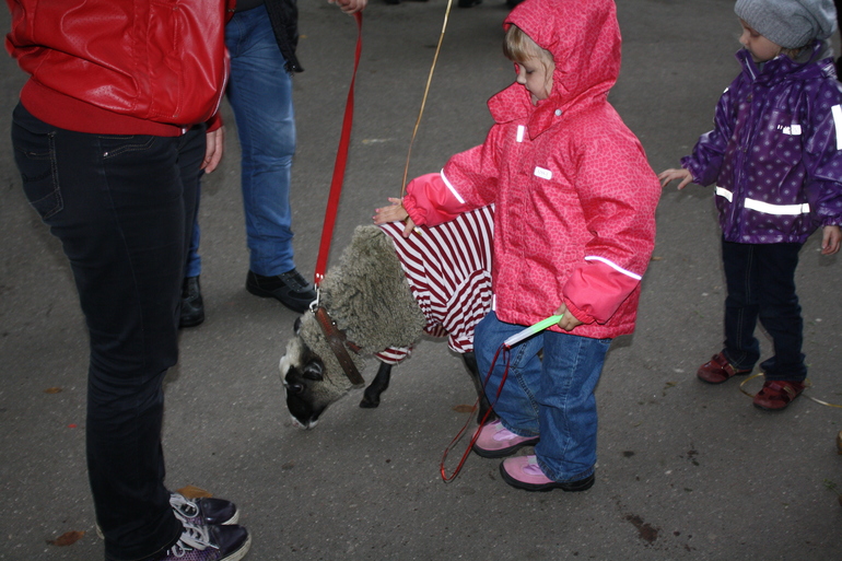 Квест ФОТООТЧЕТ))