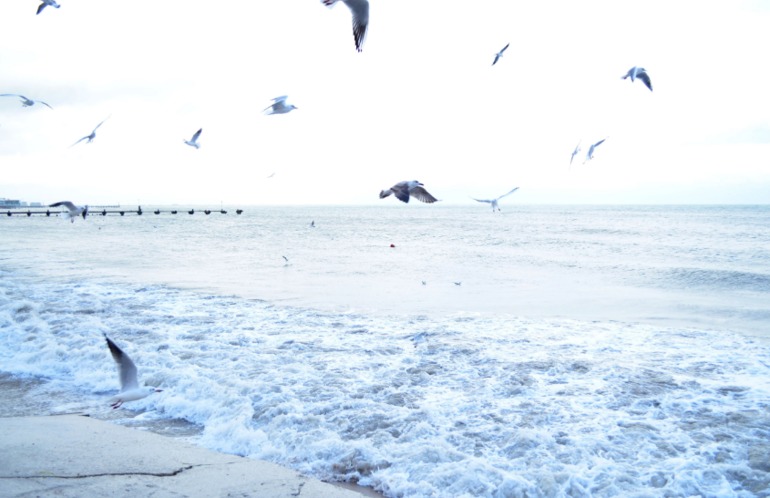 Евпатория.Набережная.На море шторм.