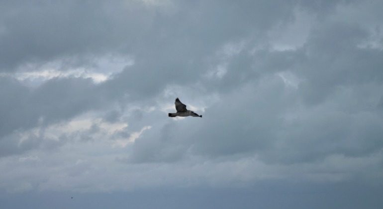 Евпатория.Набережная.На море шторм.