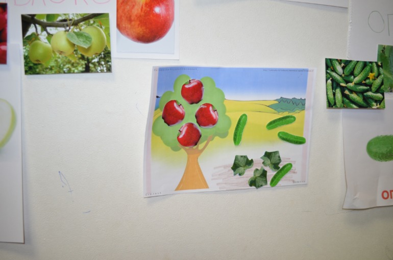 ТН Овощи и фрукты