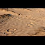 Куда податься в Подмосковье с ребенком !! еще не готов!!