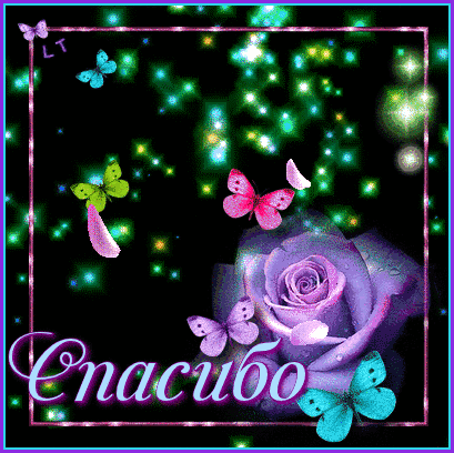 f10c095a0a5bd7e9042e1109942bec64.gif