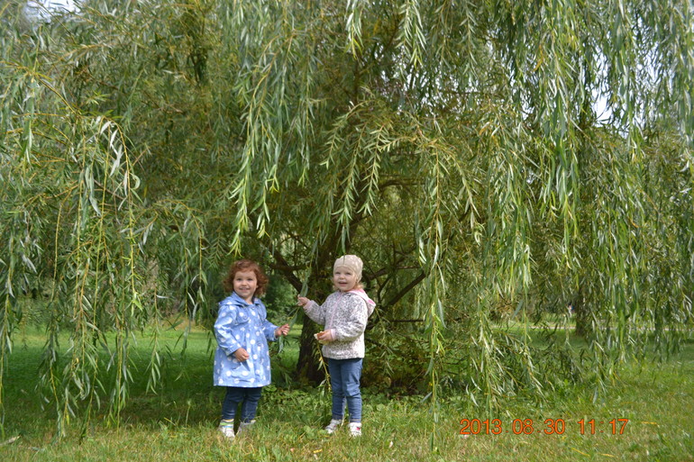 7034516f0d3c6ccb12ba4229a7704bfa.jpg