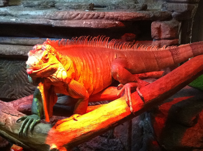 как мы провели выходные.