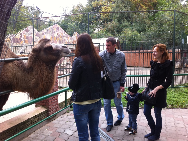 как мы провели выходные.