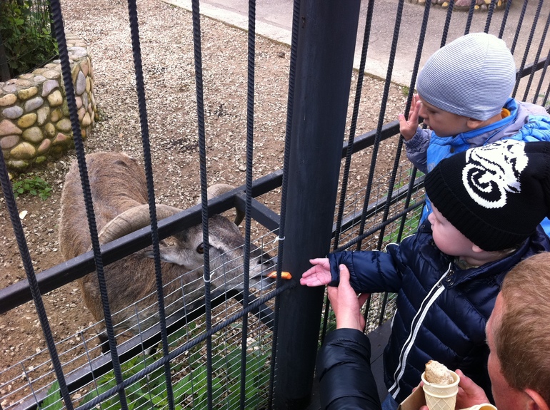 как мы провели выходные.