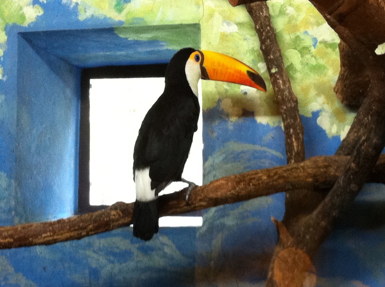 как мы провели выходные.