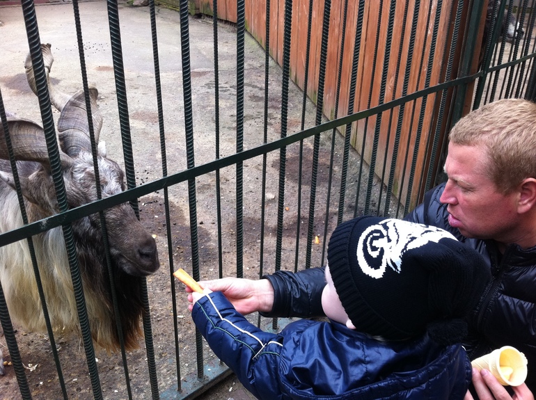 как мы провели выходные.