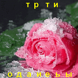 Получить бесплатно Видео Курс