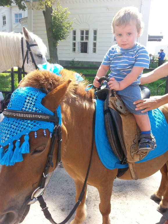 вот и лето прошло,а как было хорошо.