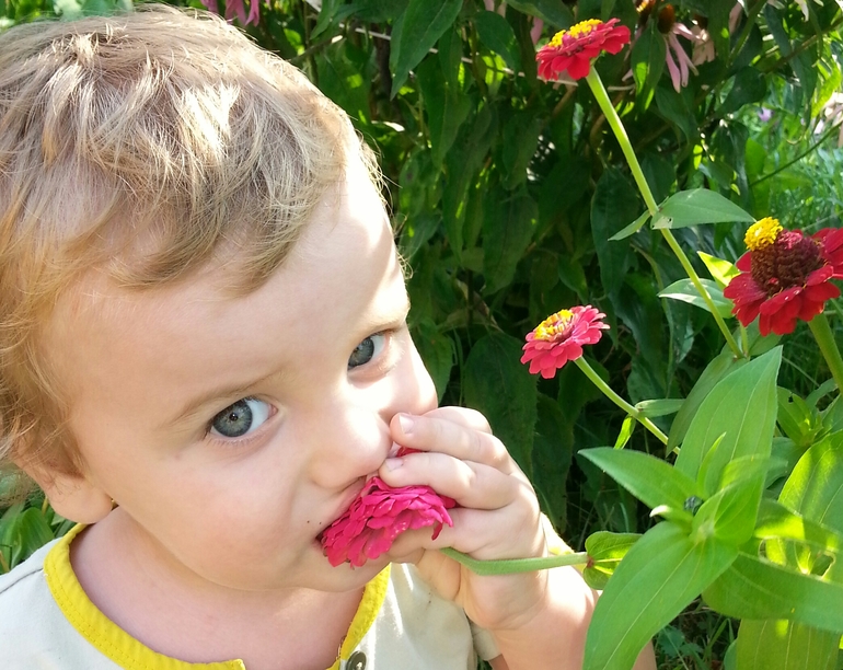 вот и лето прошло,а как было хорошо.