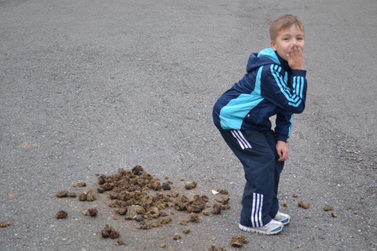 фото с прогулок)) (сегодня и вчера)