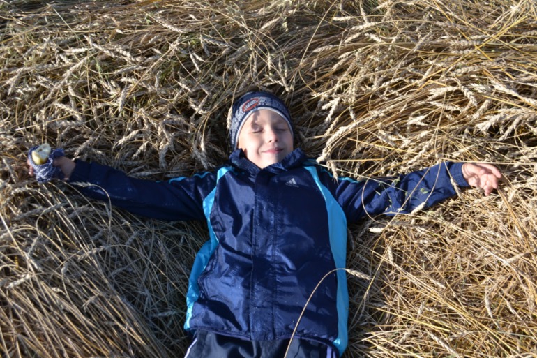 фото с прогулок)) (сегодня и вчера)