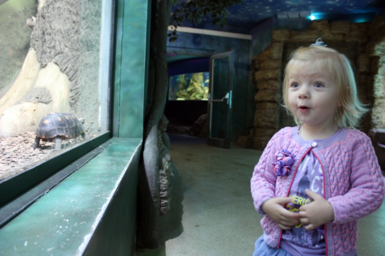 океанариум, трц рио