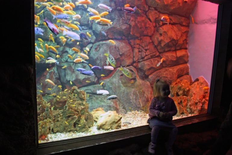 океанариум, трц рио