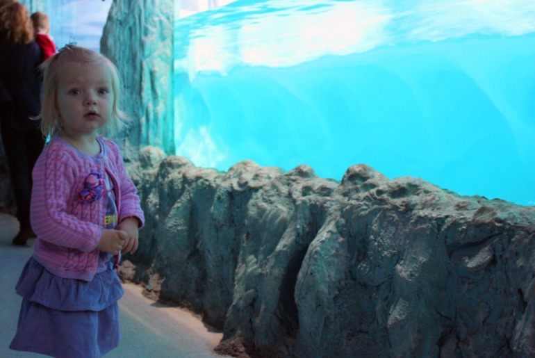 океанариум, трц рио