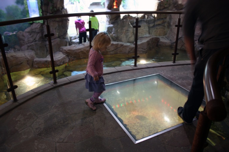 океанариум, трц рио