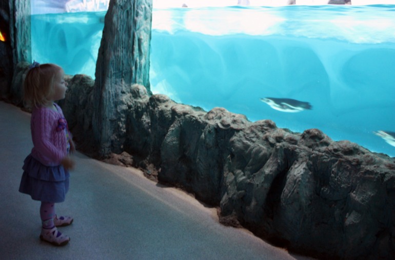 океанариум, трц рио