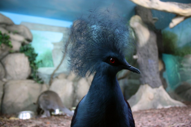 океанариум, трц рио