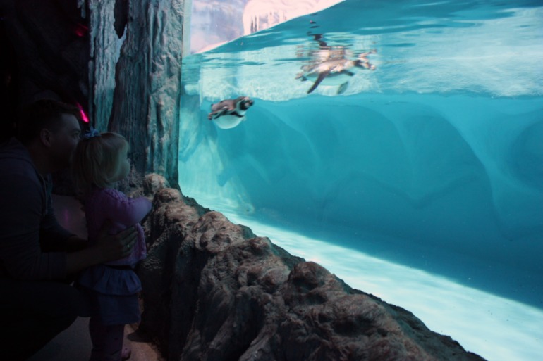 океанариум, трц рио