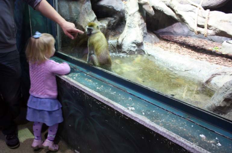 океанариум, трц рио