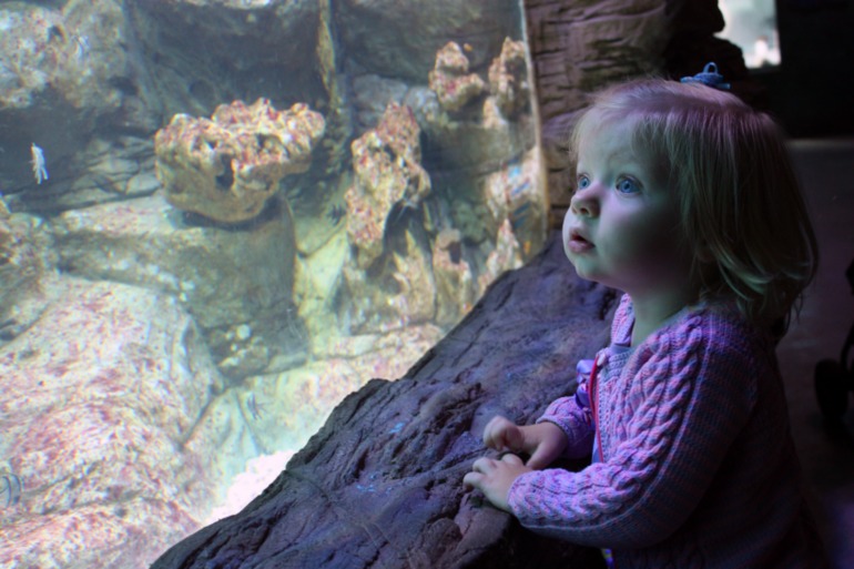 океанариум, трц рио